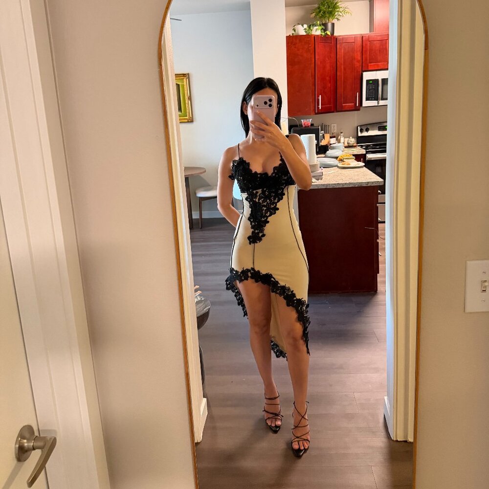 Asymmetrical Lace Dress | NWT | Nude and Black Micas Dress